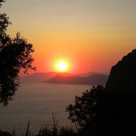 George House * Faralya