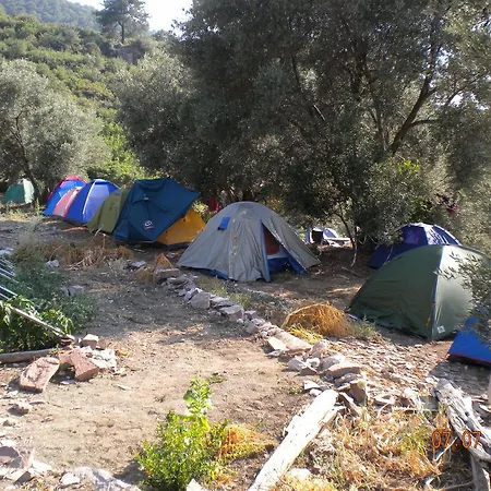 George House Bed & Breakfast *